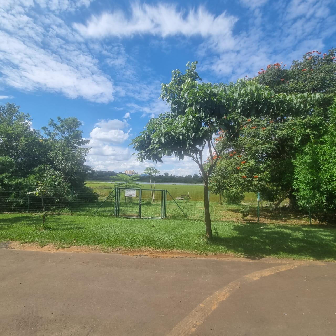 Terreno, 1199 m² - Foto 5