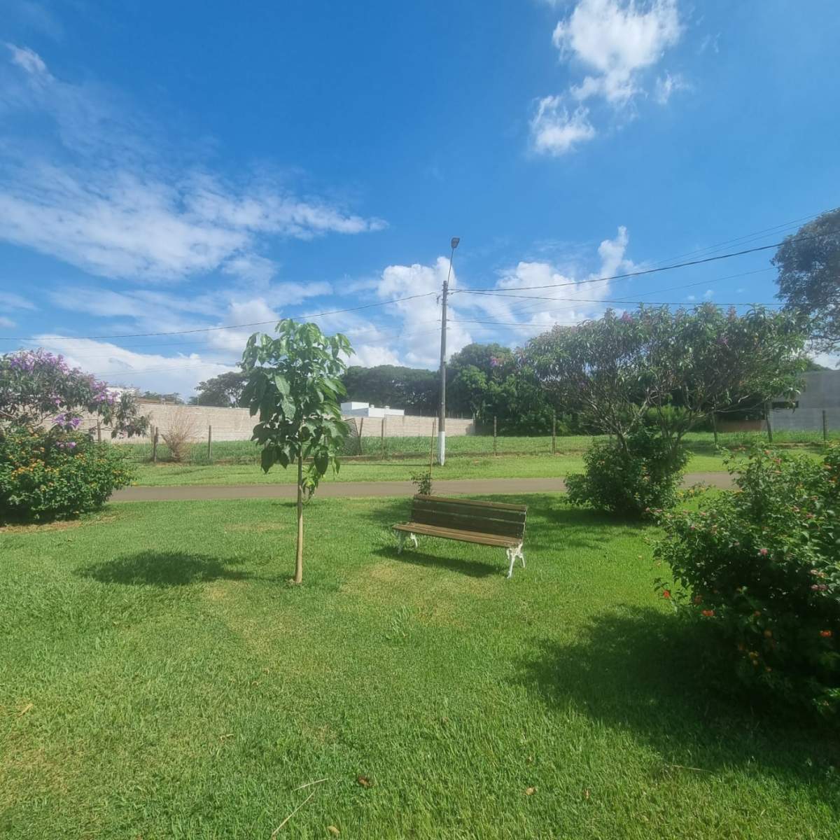 Terreno, 1596 m² - Foto 2